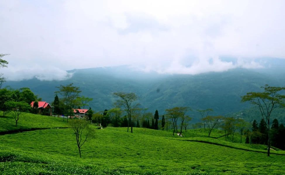 Jammu & Kashmir