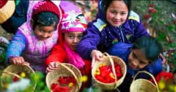Young girls placing fresh flowers at doorsteps during Phool Dei festival in Uttarakhand village