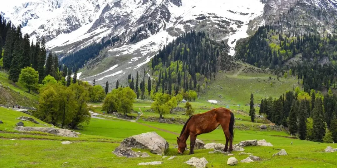 Scenic view of Indian destinations in June with mountains and greenery