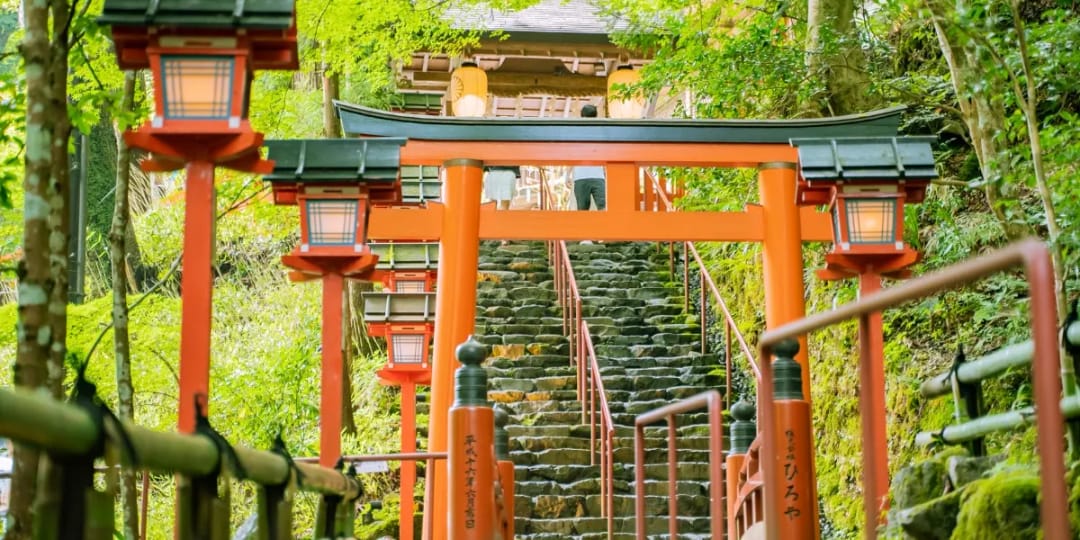 Surprising Japan Facts That Will Change Your Travel Experience