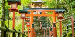 Surprising Japan Facts That Will Change Your Travel Experience
